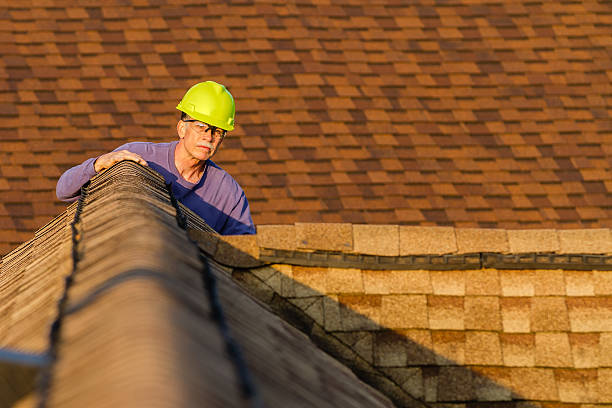 Roof Gutter Cleaning in Evergreen, CO